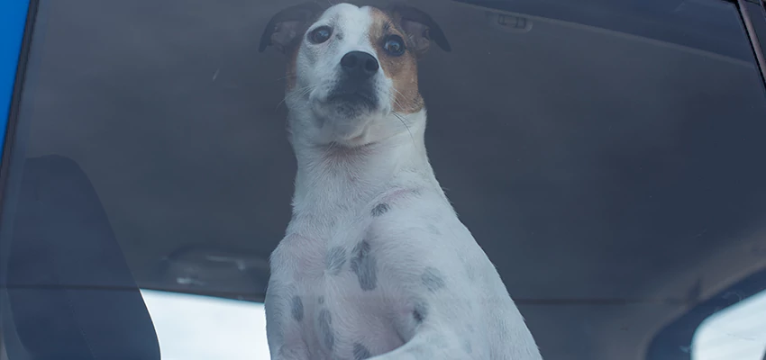 Car Lockout Solutions in East Hemet, California